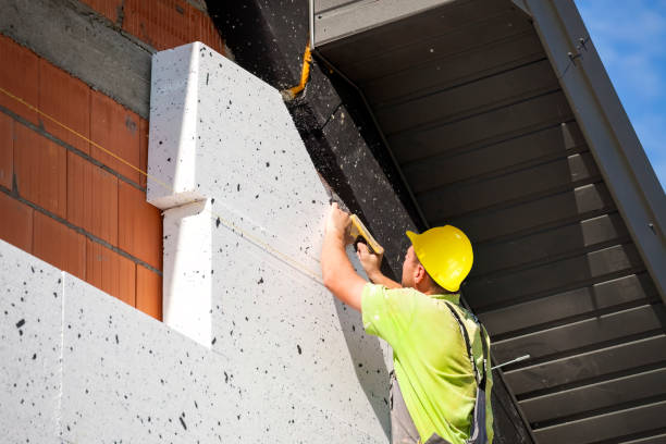 Best Spray Foam Insulation  in Hailey, ID