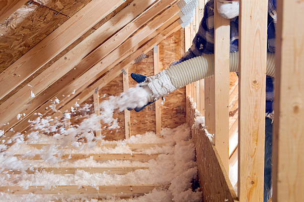 Best Commercial Insulation Services  in Hailey, ID